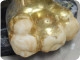 Il restauro di un'opera lignea dorata